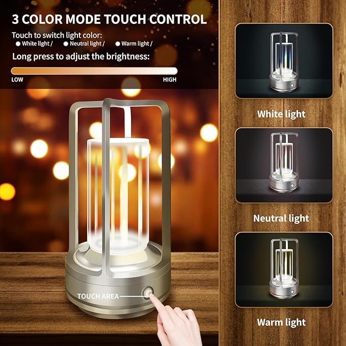 Portable Metal Table Lamp, 4000 mAh Rechargeable Outdoor Table Lights, 3 Color Stepless Dimmable Cordless Table lamp for Patio, Camping, Coffee Samll Desk Lamp for Indoor/Outdoor (Silver)