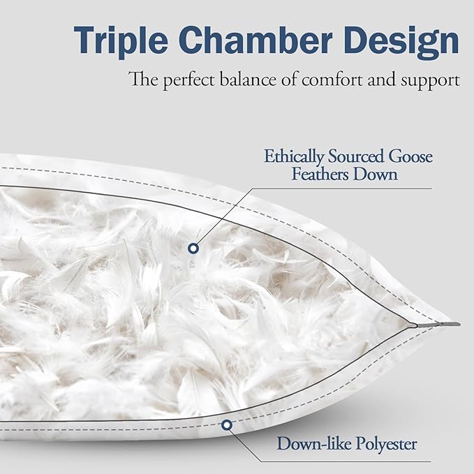 BPC Goose Feather Down Pillow Queen Size Set of 1, Luxury Hotel Bed Pillows, 100% Organic Cotton Cover, Soft Support Surround Fill Polyester, Medium Firm for Back, Stomach or Side Sleepers 20"x30"