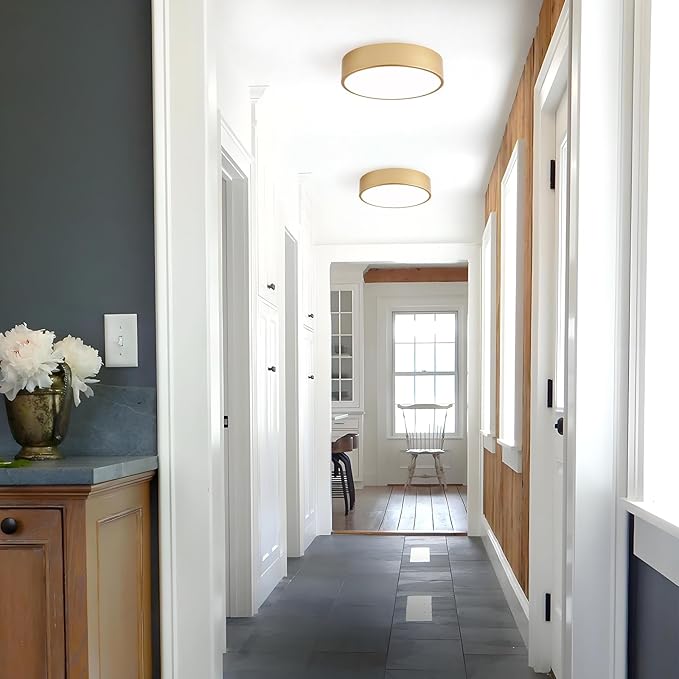 Modern Flush Mount Ceiling Light, 2-Lights Gold Ceiling Light, Minimalistic Ceiling Lamp Acrylic Shade Lighting Fixture for Bedroom Laundry Room Foye Hallway(11.8 Inch)