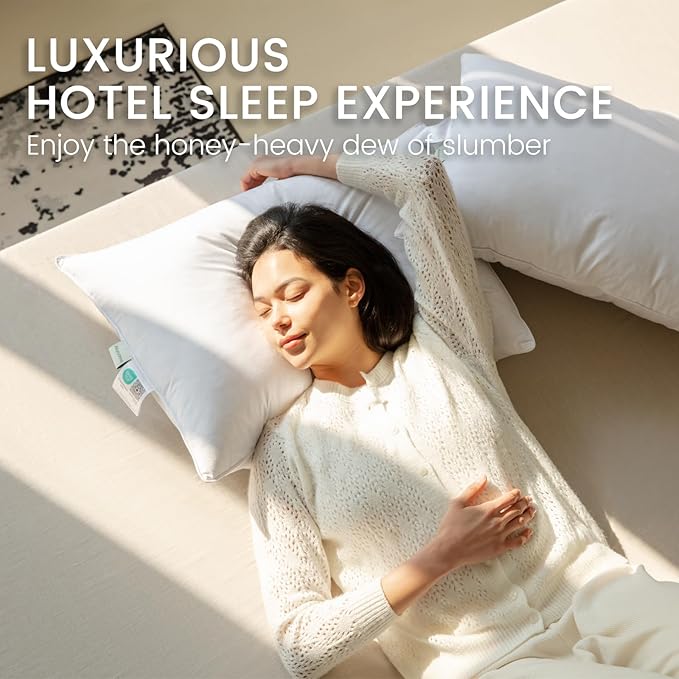 Alanzimo Goose Feathers Down Pillows Standard/Queen Size Set of 2, Luxury Soft Feather Down Pillow for Sleeping, 100% Cotton Cover Hotel Collection Bed Pillows for Back,Stomach or Side Sleepers 20x28