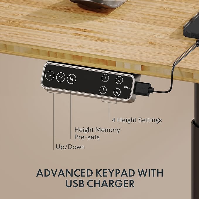 FLEXISPOT E6 Pro Oval Leg Dual Motor 3 Stages Bamboo Whole-Piece Electric Standing Desk 48x24 Inch Board Height Adjustable Electric Sit Stand Up Desk (Black Frame + Bamboo Whole-Piece Desktop)