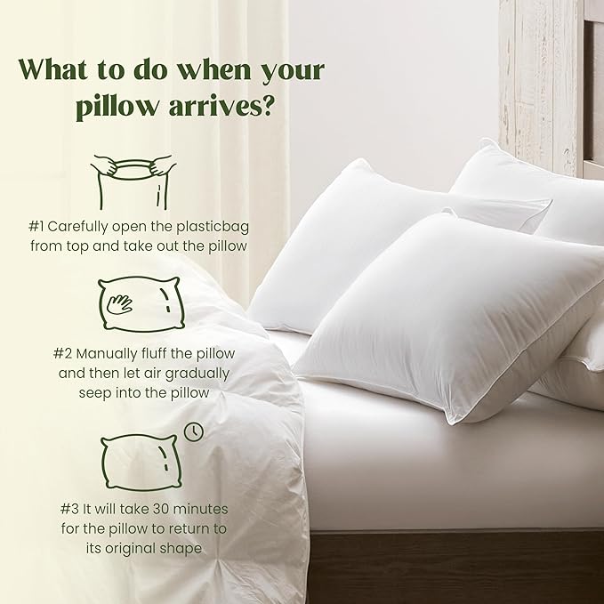 puredown® Goose Feather Down Pillows, Bed Pillows for Sleeping with 2 Outer Protectors, Hotel Standard/Queen Pillows Set of 2 (Pack of 2)