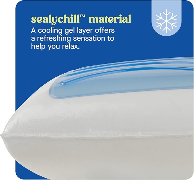 Sealy Dreamlife Memory Foam Gel, King, White Pillow