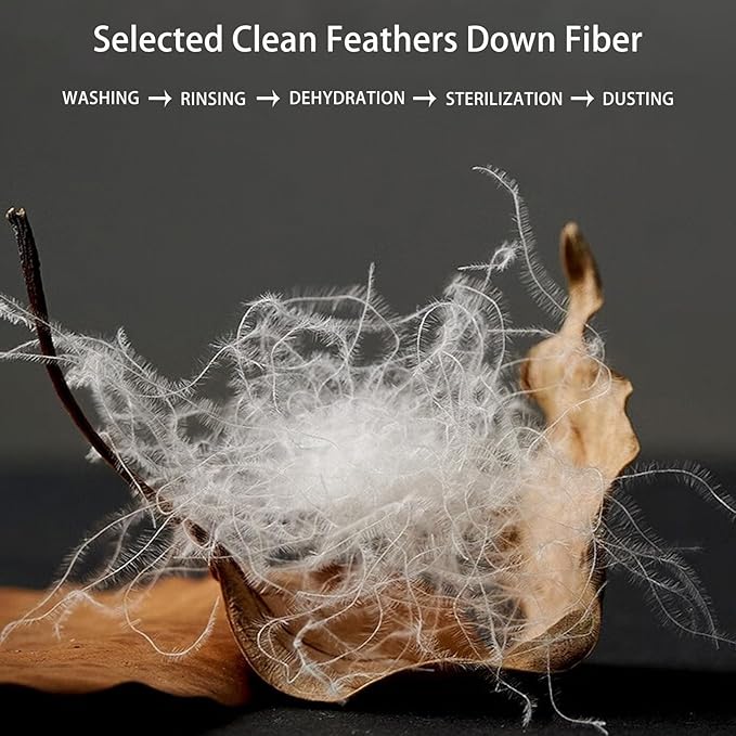 Luxury Gray Down Fiber Comforter Queen Size - Down Fiber Duvet Core for All Seasons - Soft and Medium Warmth Hotel Collection Duvet Insert - Fluffy and Cozy，Queen (90 X 90”)