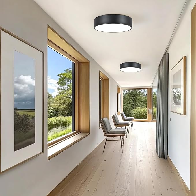 Black Flush Mount Light Fixture, 2-Light Minimalist Close to Ceiling Lamp, Industrial for Hallway, Entryway, Closet, Kitchen Island, Foyer, Balcony, Farmhouse, 11.8 Inch