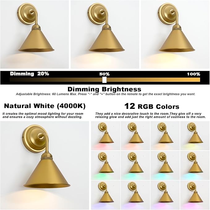 HEQIQEH Modern Battery Operated Wall Sconces Set of 2 with Metal Lamp Shade, 13 RGB Color Changing Dimmable Battery Wall Mounted Lamp with Remote Control for Bedroom, Galleries, Hallway, Hotels