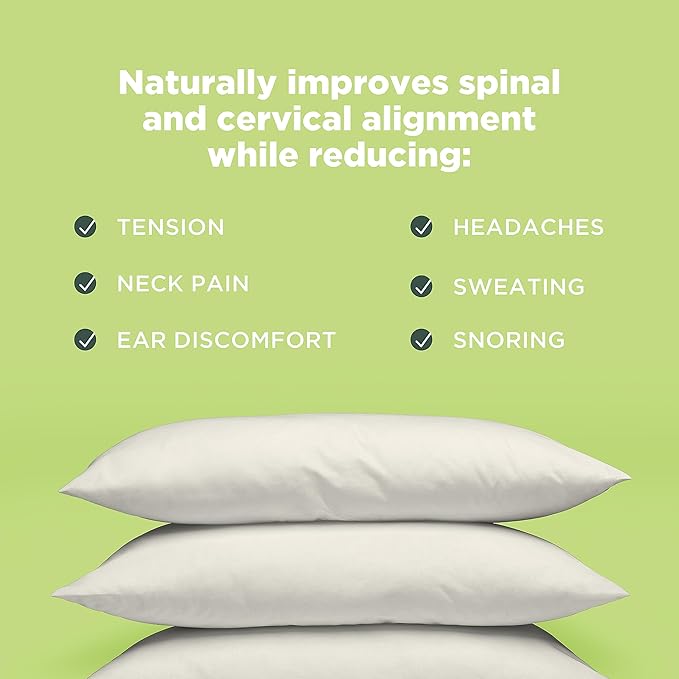 Bean Products Kapok 14" x 20" Japanese Pillow - Breathable, Eco-Friendly and Durable Organic Cotton Fabric Bed Pillow - Soft and Supportive Pillow for Sleeping, Made in The USA