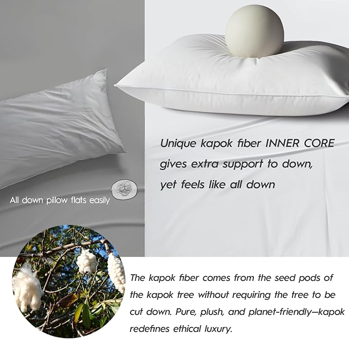 Globon Luxury Down Pillow Standard Size 100% Cotton Shell, Hotel Collection Bed Pillows for Sleeping, Medium Firm Down Surrounded Feather Pillow 20" x 26", 1 Pack