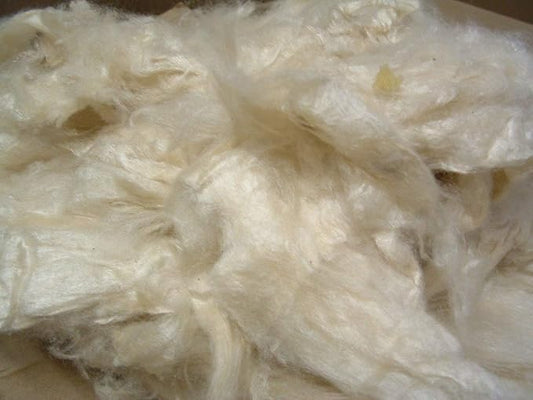 Bean Products Premium Kapok Fill | 2.5 lbs | 100% Organic Kapok Fiber | Chemical Free and Hypoallergenic | Perfect for Pillows, Pet Beds, Couches & More | Made in USA