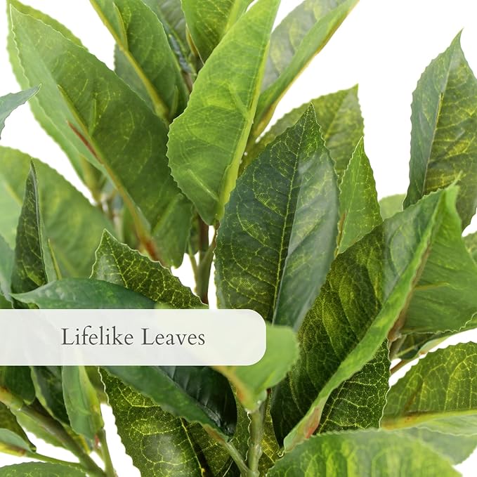 CG Hunter Faux Eucalyptus & Citrus Topiary, Set-of-2 Premium Artificial Indoor Plants, Enhances Interior Design, Lifelike-Leaves Create Realistic Natural Appearance, Grey Planter Pot Included
