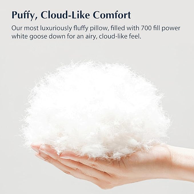 Pacific Coast White Goose Down Pillow, Hotel Bed Pillow for Sleeping, Certified by RDS and Oeko, Suit for Back and Stomach Sleepers, Queen Size