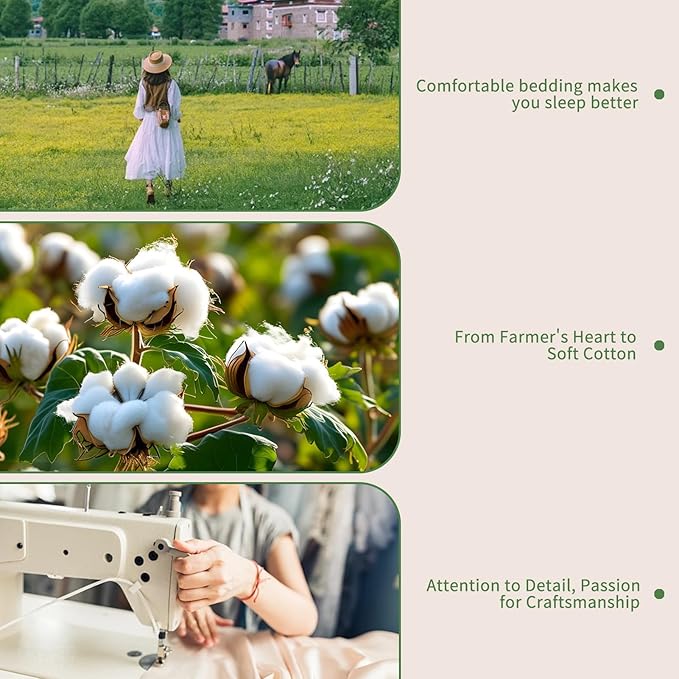 Bedlifes 1000 Thread Count 100% Egyptian Cotton King Size Sheets Set - Sateen Soft Silky Breathable Luxury Cooling 4 Pieces (Forest Green)