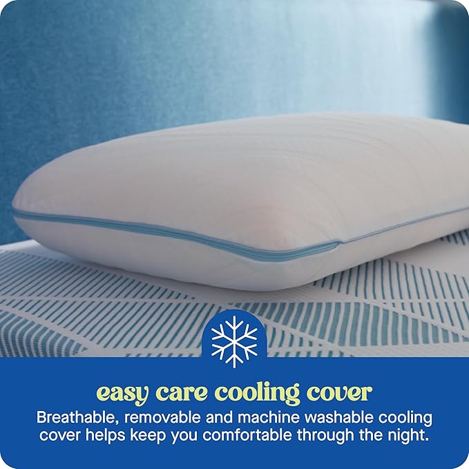 Sealy Dreamlife King Size Memory Foam Cooling Surface Guard Technology, Removable Machine-Washable Cover, 1 Year Warranty, White Pillow