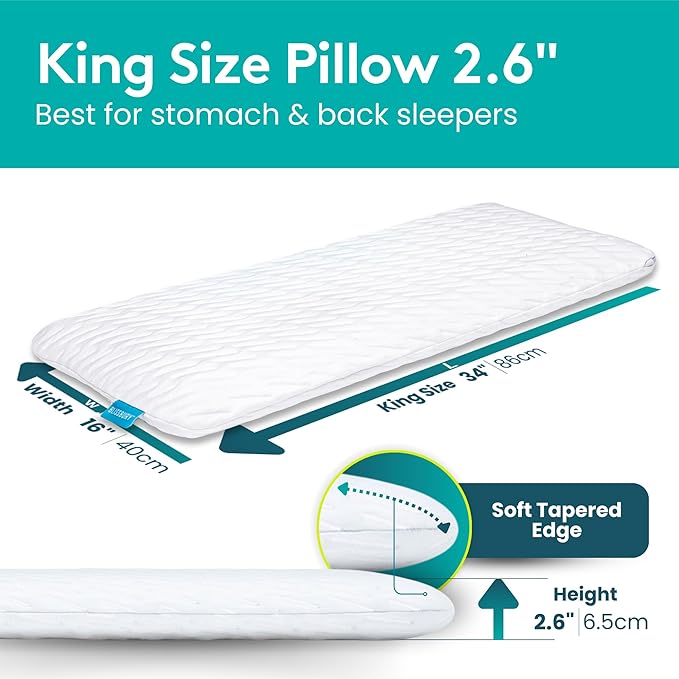BLISSBURY King Size 2.6 Inch Ultra Thin Pillow for Sleeping | Premium Memory Foam Flat Pillow | Back & Stomach Sleeping Pillow | Certified Foam for Neck and Back Support | Removable Pillow Case