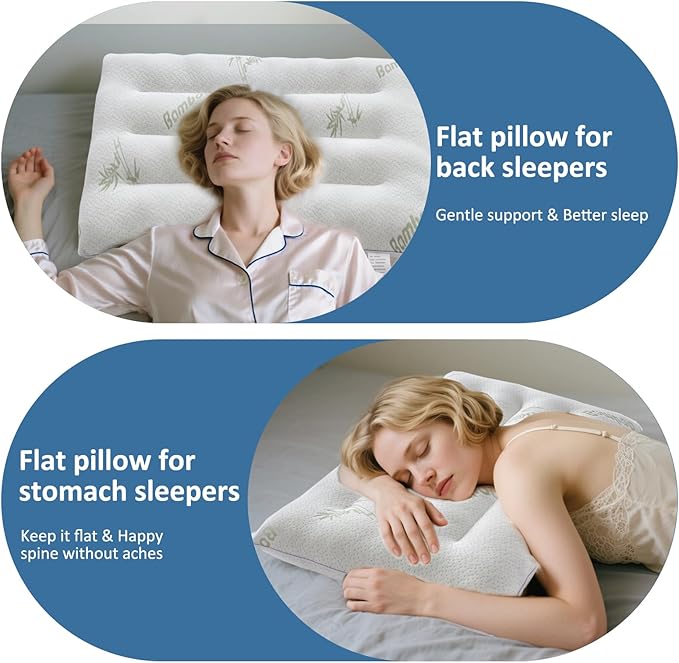 SWTMERRY Ultra Thin Pillows for Sleeping, Flat Pillows for Stomach & Side Sleepers, Rayon Derived from Bamboo, 7D High Support 2.5 inch Height Slim Bed Pillow