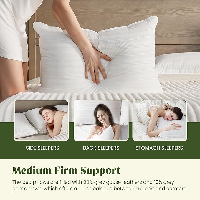 puredown® Goose Feathers and Down Pillow, Bed Pillow for Sleeping, Hotel Collection Gusseted 2 Outer Protectors, Cotton Fabric, White, King Size, Set of 2