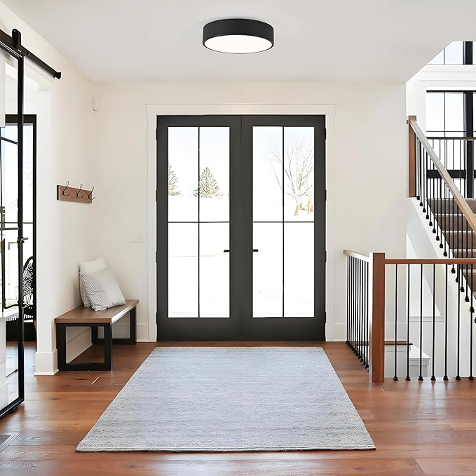 Modern Flush Mount Ceiling Light, 2-Lights Black Ceiling Light, Minimalistic Ceiling Lamp Acrylic Shade Lighting Fixture for Bedroom Laundry Room Foye Hallway(11.8 Inch)