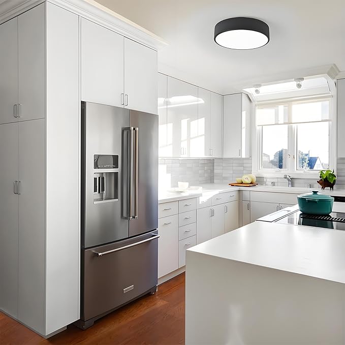 Modern Black Flush Mount Ceiling Light, 2-Lights Round Ceiling Light, Minimalistic Ceiling Lamp Acrylic Shade Lighting Fixture for Bedroom Laundry Room Bathroom Hallway(11.8 Inch)