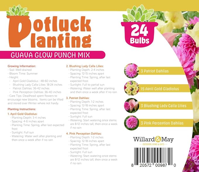 24 Easy-to-Plant Bulbs – Dahlias, Lilies, Gladiolus – Guava Glow Punch Flower Bulb Mix - Vibrant Colors & Fragrance – Summer Blooming Garden Gift Set