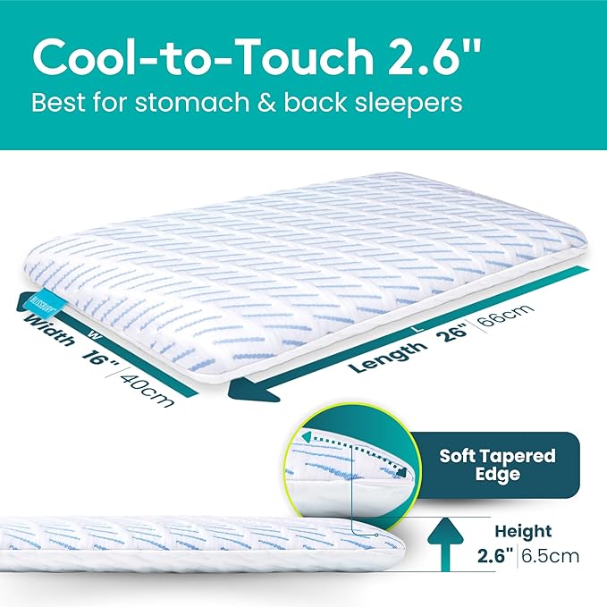 BLISSBURY Cooling Memory Foam Pillow, 2.6 Inch Thin, for Stomach & Back Sleeper, Queen Size, Removable Cool-Tech Cover, CertiPUR-US Certified
