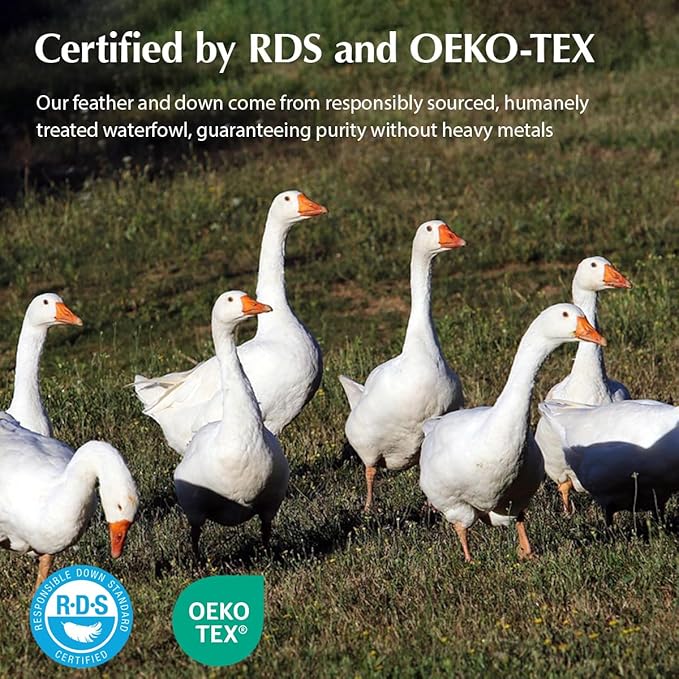 Pacific Coast Pillows Queen Size Set of 2, Goose Down Fiber Bed Pillows for Sleeping, Hotel Pillows, Downproof, Medium, White