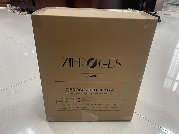 DP01 Bed Pillow, Throw 60x60cm Set of 2, Sky Blue Side 2 Count