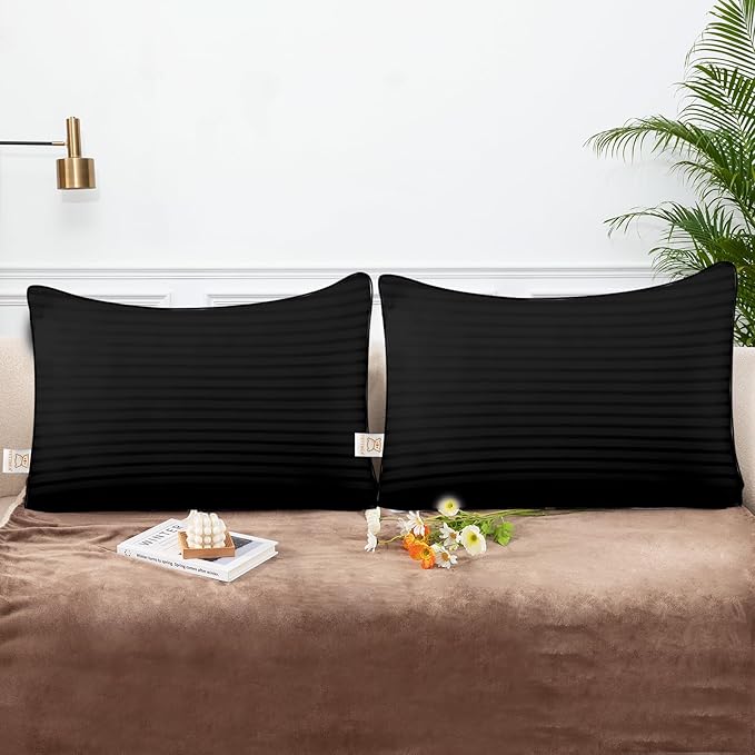 16x24 Throw Pillows Insert Set of 2, Decorative Pillows for Couch and Bed, Indoor Square Pillow Stuffing for Living Room with Premium Original Down Alternative Filling, Black