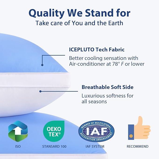 Queen Size Pillows Set of 1, Luxury Soft Hotel Down Alternative Single Pack Bed Pillows, Gusseted Supportive for Side Back Stomach Sleepers, Washable, Cooling Blue, 20 x 30, 1 Pack