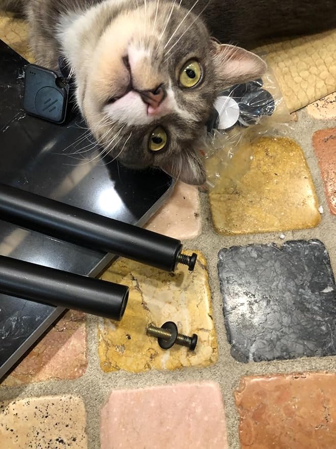 Double-pole Coat Rack Freestanding, Modern Metal Coat Racks Hanger Stand with 5 Hooks and Natural Marble Base, for Bedroom, Office, Hallway, Entryway, Living Room, Black