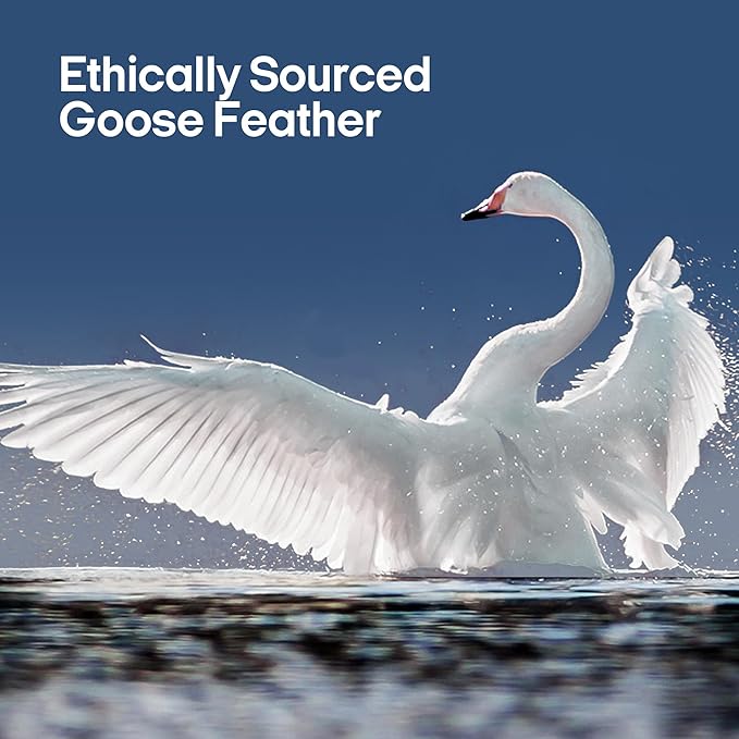 puredown® Goose Feathers and Down Pillows, Premium Medium to Firm Bed Pillows for Sleeping, Luxury Pillows with 100% Cotton Cover, 2 Pack, Queen Size, 20x30 Inches