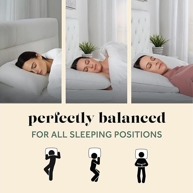 ComfyDown 50/50 Down Feather Blend ComfyDream Bed Pillow for Sleeping, Egyptian Cotton Cover, Made in USA, King Size (King)