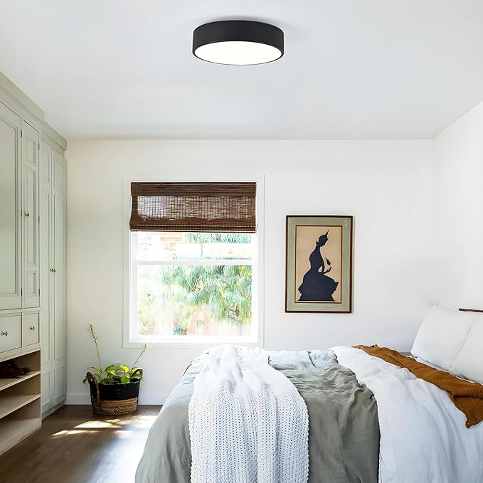 Modern Flush Mount Ceiling Light, 2-Lights Black Ceiling Light, Minimalistic Ceiling Lamp Acrylic Shade Lighting Fixture for Bedroom Laundry Room Foye Hallway(11.8 Inch)