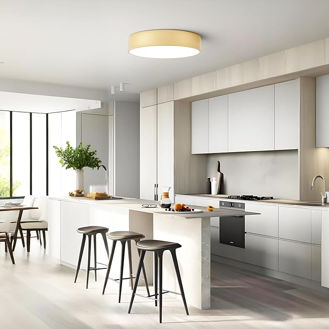 Dimmable Modern Large Flush Mount Close to Ceiling Light Fixture,Round Painted Gold LED Ceiling Mounted Lights Fixtures,5CCT 2700K-6000K Lighting for Kitchen Master Bedroom Living Room,15.7in