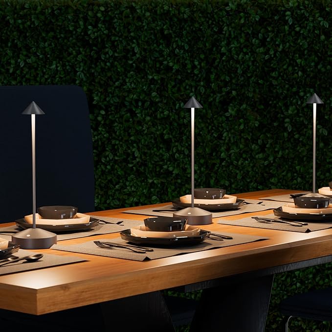 Portable Rechargeable Table Lamp for Indoor Outdoor, Battery Operated Desk Light with 3-Color Dimming Touch Control for Bedroom Dining Living Room Office Restaurant Cafe Patio Balcony