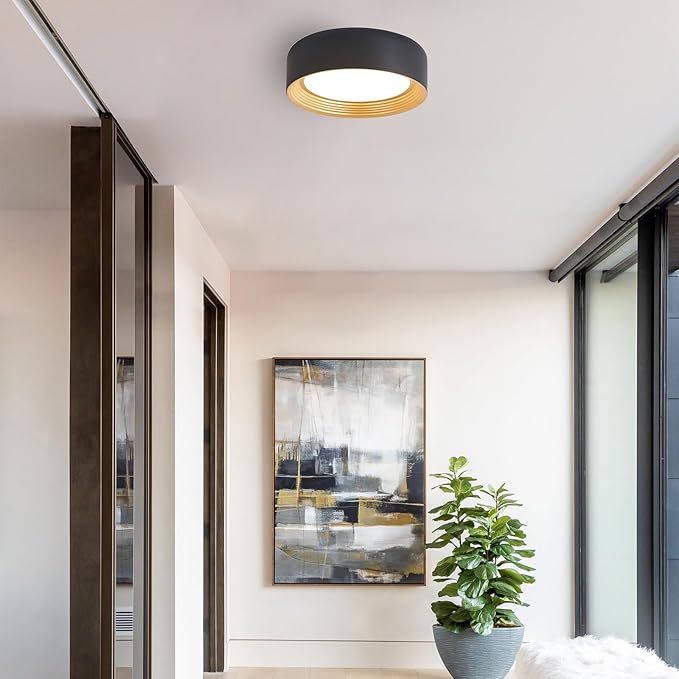 Dimmable Flush Mount Ceiling Light,Round 11.81 inch LED Ceiling Light,Modern Black with Gold Inside Lighting,24W 5CCT 3000K-6500K Selectable for Laundry Room Hallway Kitchen