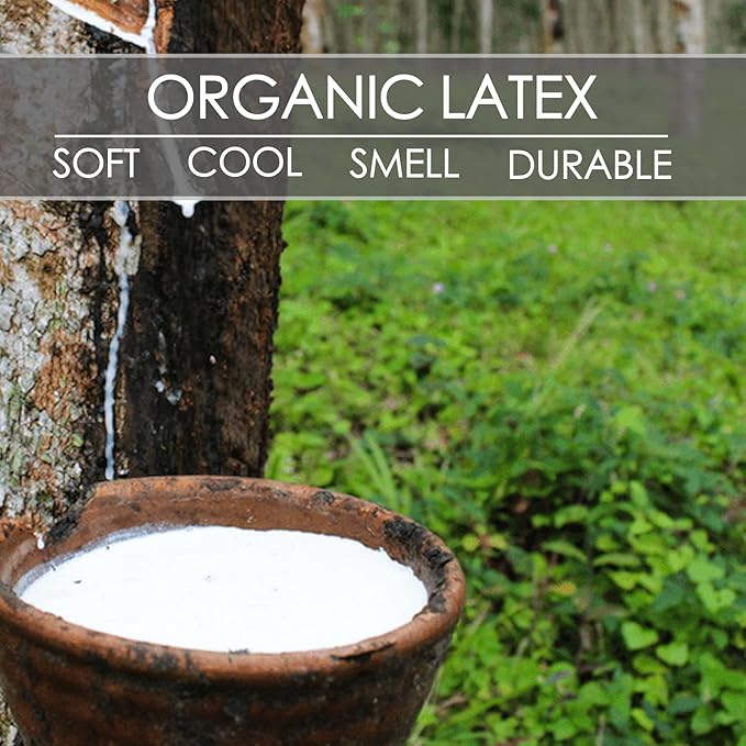 100% Talalay Latex Pillow, Luxury Queen Sleeping Bed Pillow for Side, Back, and Stomach Sleepers, Extra Soft Natural Latex Foam Pillow, Removable Breathable Cotton Cover (Firm, Standard)