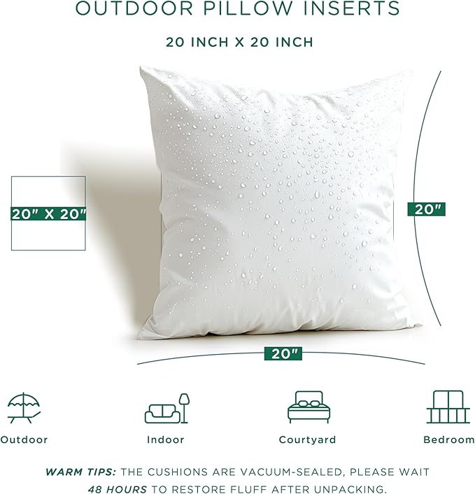 Codi Outdoor Pillow Inserts 20x20 Set of 2, Throw Pillows Waterproof for Patio Furniture