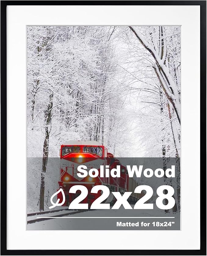Egofine 22x28 Solid Wood Picture Frame, Made of Solid Wood Covered by Plexiglass 18x24 with Mat 22x28 without Mat, Poster Frame for Wall Mounting Hanging Photo Frame Vertically or Horizontally, Black