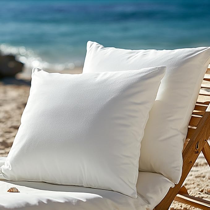 Codi Outdoor Pillow Inserts 20x20 Set of 2, Throw Pillows Waterproof for Patio Furniture