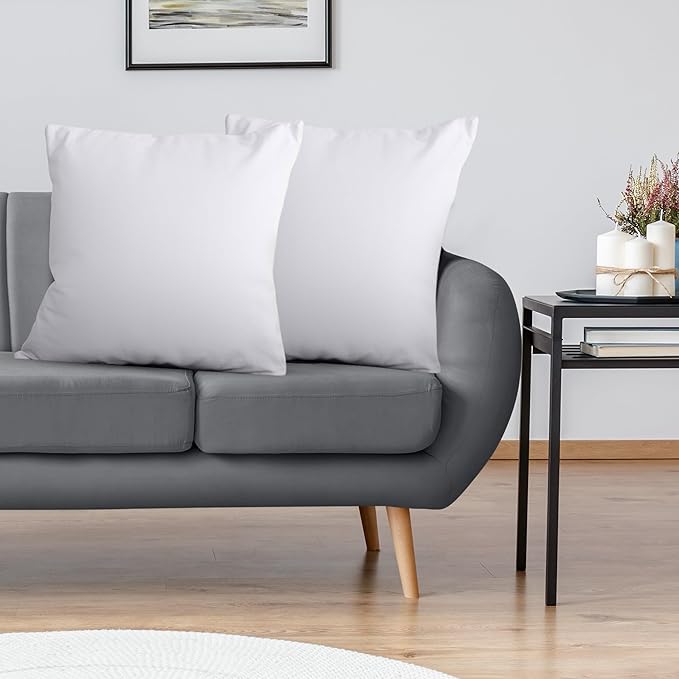 Utopia Bedding Throw Pillows Insert (Pack of 2, White) - 22 x 22 Inches Bed and Couch Pillows - Indoor Decorative Pillow