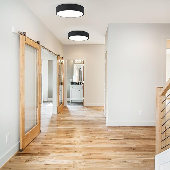 Modern Flush Mount 2-Light Round Black Ceiling Light Fixture, Minimalistic Acrylic Shade Lighting for Bedroom, Laundry Room, Foyer, Hallway (11.8")