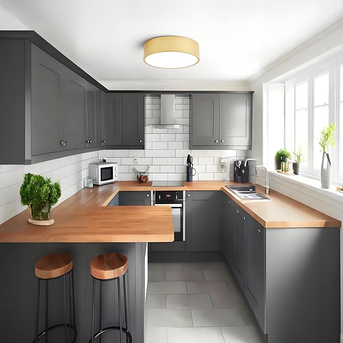 Dimmable Modern Flush Mount Ceiling Light Fixture,Painted Gold Round LED Ceiling Lights Fixtures,5CCT 2700K-6000K Lighting for Kitchen Hallway Bedroom Laundry Room Entryway Closet 11.81 inch