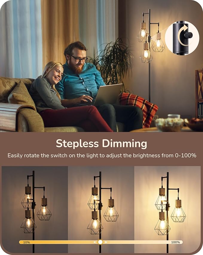 EDISHINE Dimmable Industrial Floor Lamp, Farmhouse Standing Lamp for Living Room, Diamond-Shaped Cage, Corner Rustic Rattan Reading Lamps for Bedroom, Office, Black