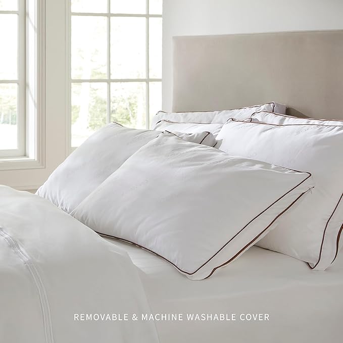 Saatva Latex Pillow - Standard Loft (4” - 5”) - Hypoallergenic Pillow with Shredded Latex Core - Breathable - Machine Washable Organic Cotton Cover - Queen (28"x18") 1 Pack