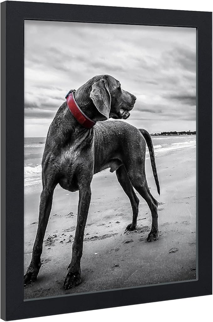 VCK 18x24 Inch Wooden Picture Frame for Posters, Prints, Photos, Pictures, Maps, Certificates, and Artwork Black