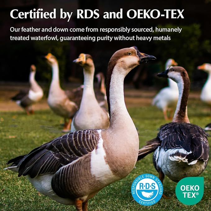 Pacific Coast Gusseted Pillows Queen Size Set of 2, Goose Feather and Down Firm Pillows, Luxury Hotel Collection Bed Pillows for Sleeping, Supportive Gusseted Dsign for Side and Back Sleepers