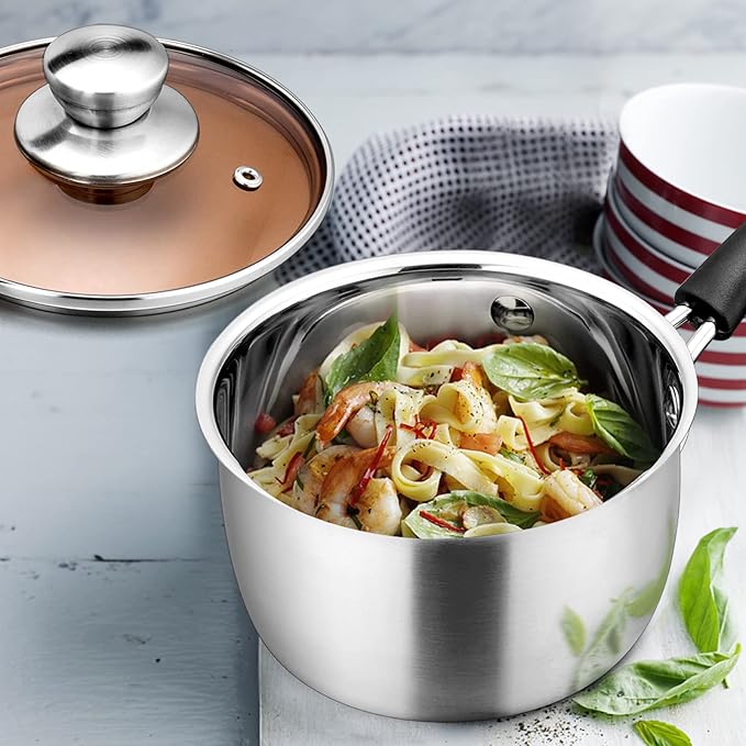 E-far Saucepan with Lid, Max Capacity 2 Quart Stainless Steel Sauce Pot with Glass Lid for Cooking, Easy Clean & Rust Free, Dishwasher Safe