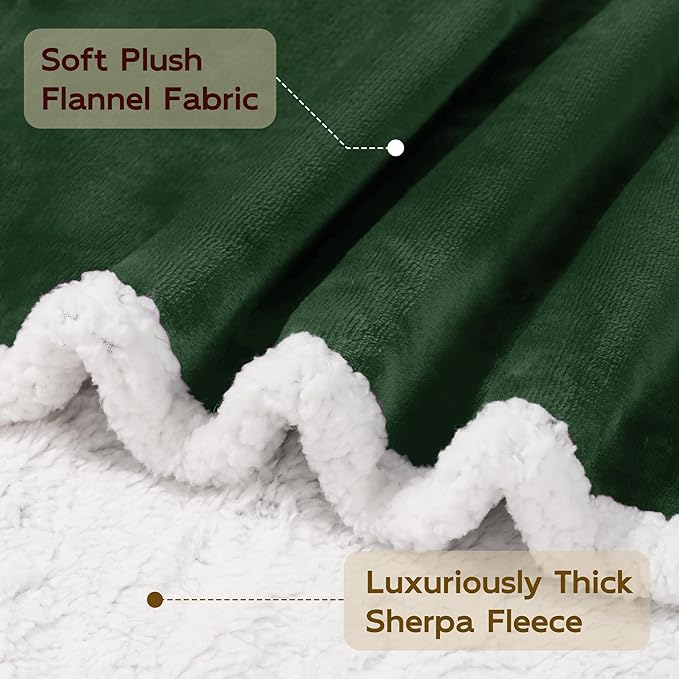 BEAUTEX Sherpa Fleece Throw Blankets, Soft Fluffy Flannel Plush Blanket and Throw, Fuzzy Cozy Green Cuddle Blankets for Couch Bed Sofa Adults (50" x 60", SageGreen)
