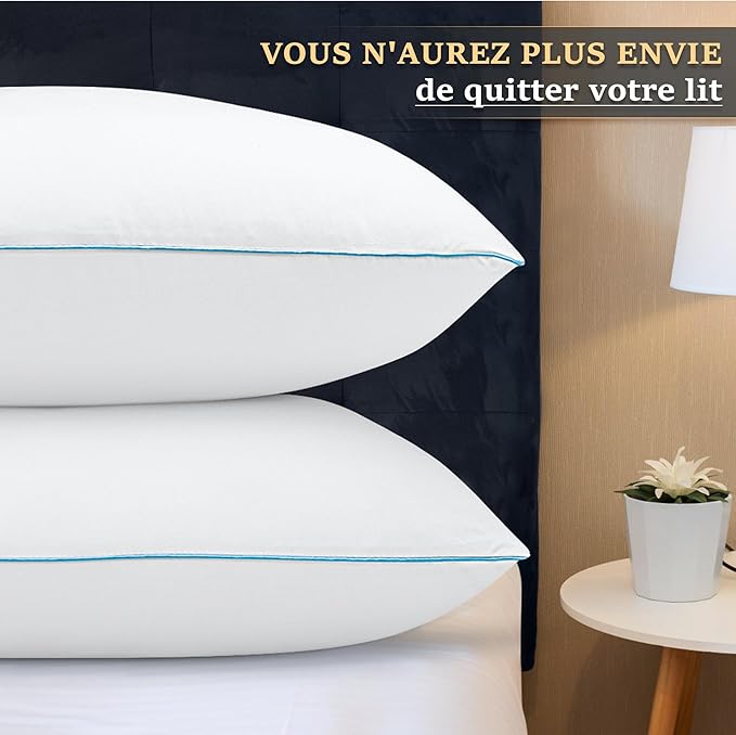 DP01 Bed Pillow, Throw 60x60cm Set of 2, Sky Blue Side 2 Count