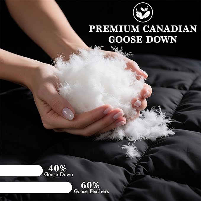 Shilucheng Goose Down and Feather Pillows Queen Size Set of 1 Pack, Luxury Hotel Quality Bed Pillows for Side Back Stomach Sleepers, Soft 100% Cotton Shell（White,20" x 30"）